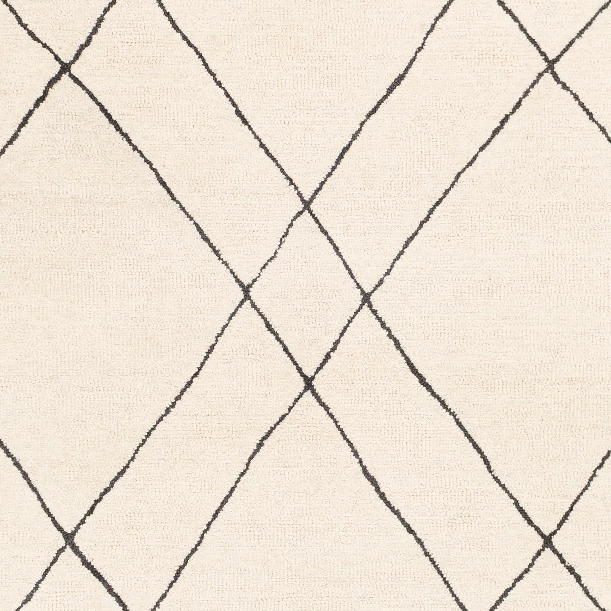 Sinop SNP-2304 Black Area Rug by LIVABLISS