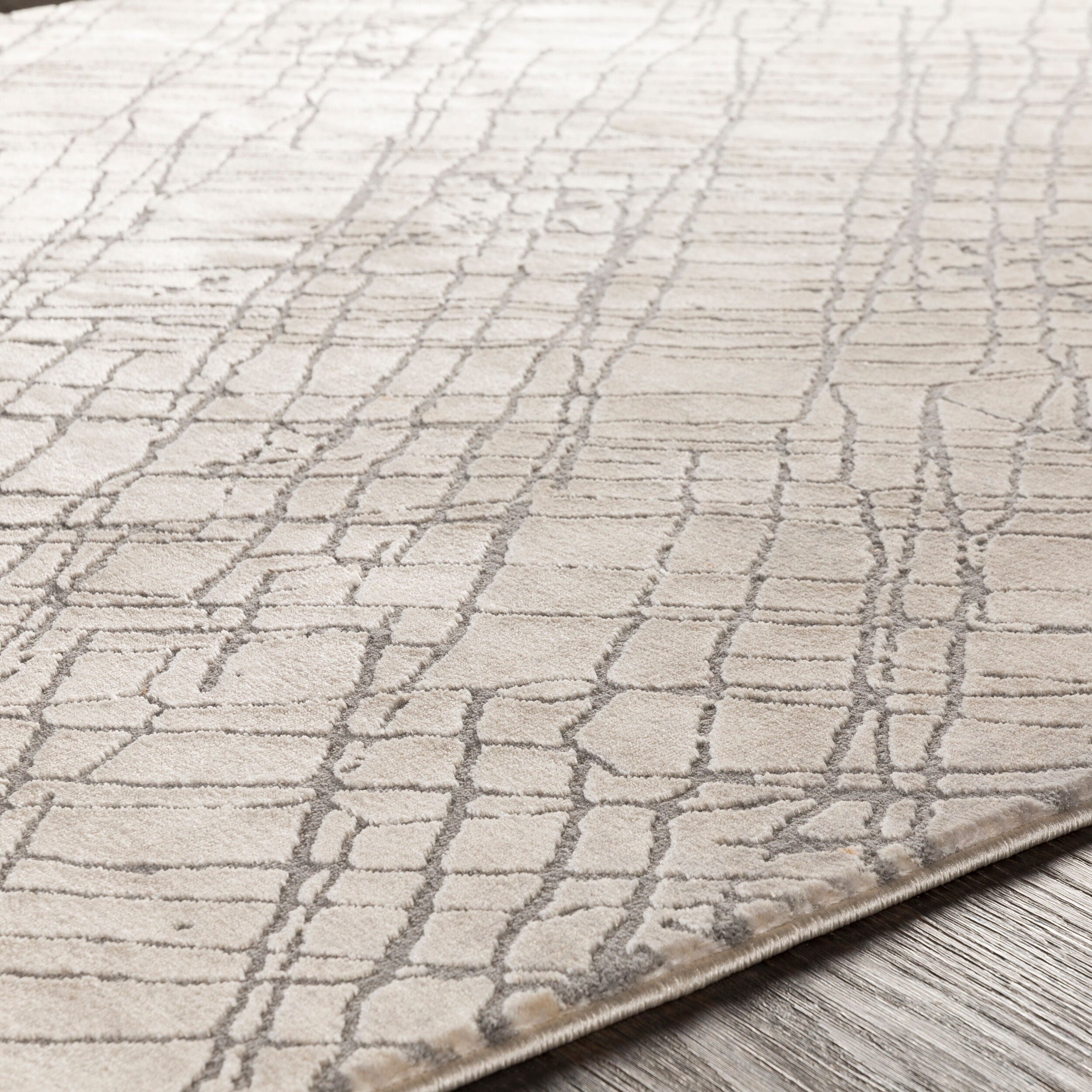 Surya Tibetan TBT-2314 Beige Area Rug by LIVABLISS