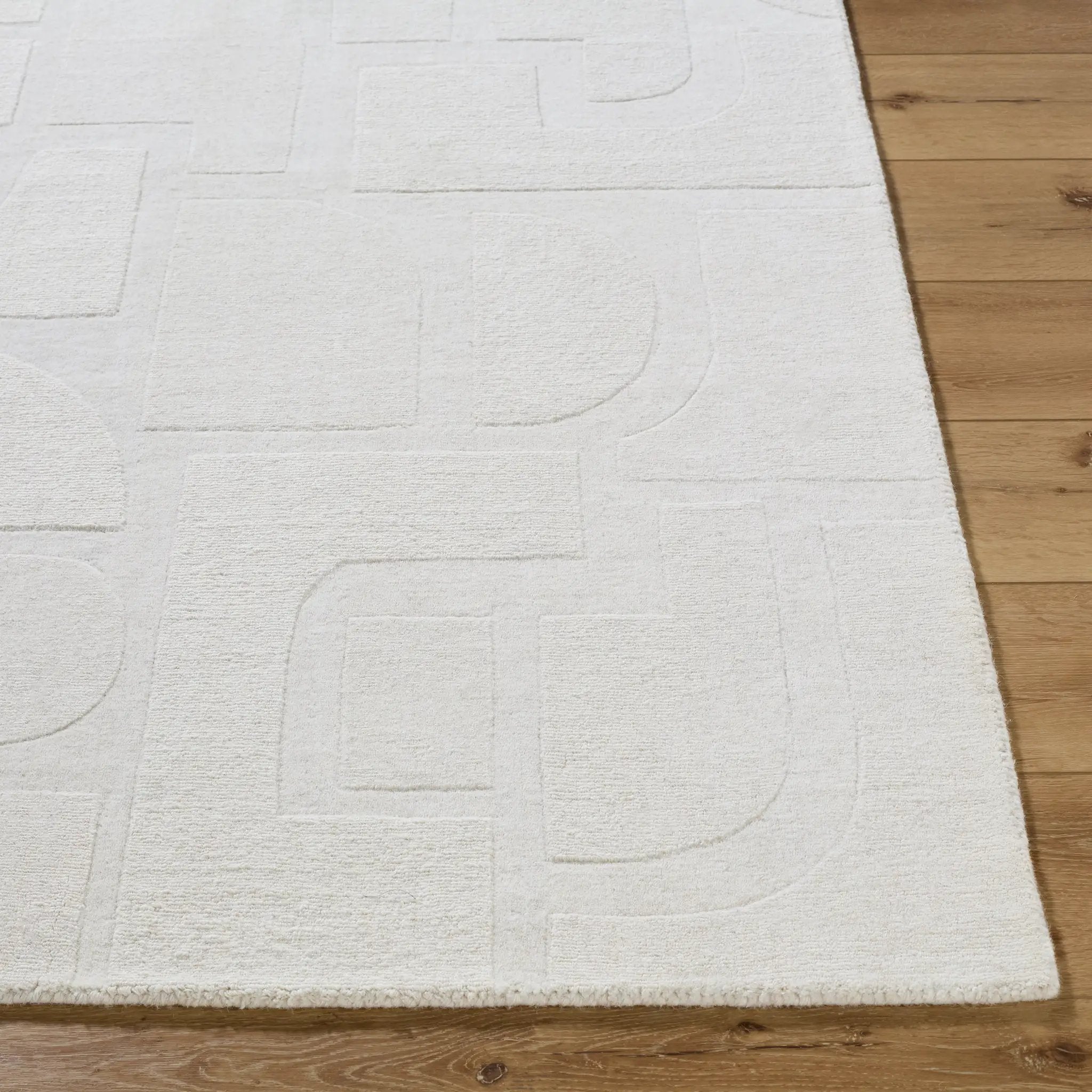 Taraash TRH-2306 Ivory Area Rug by LIVABLISS
