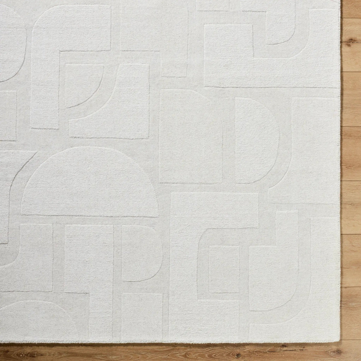 Taraash TRH-2306 Ivory Area Rug by LIVABLISS