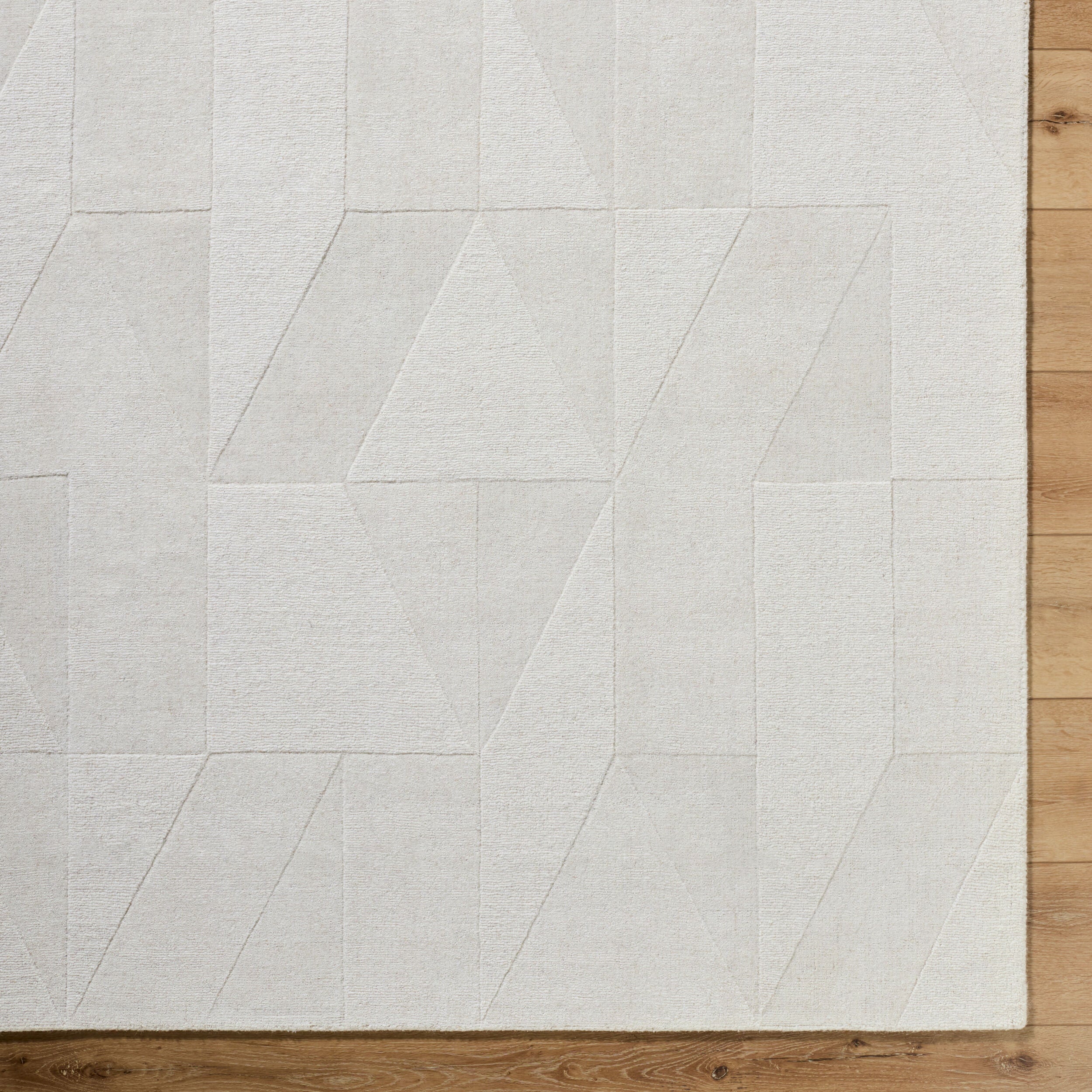 Surya Taraash TRH-2307 Ivory Area Rug by LIVABLISS