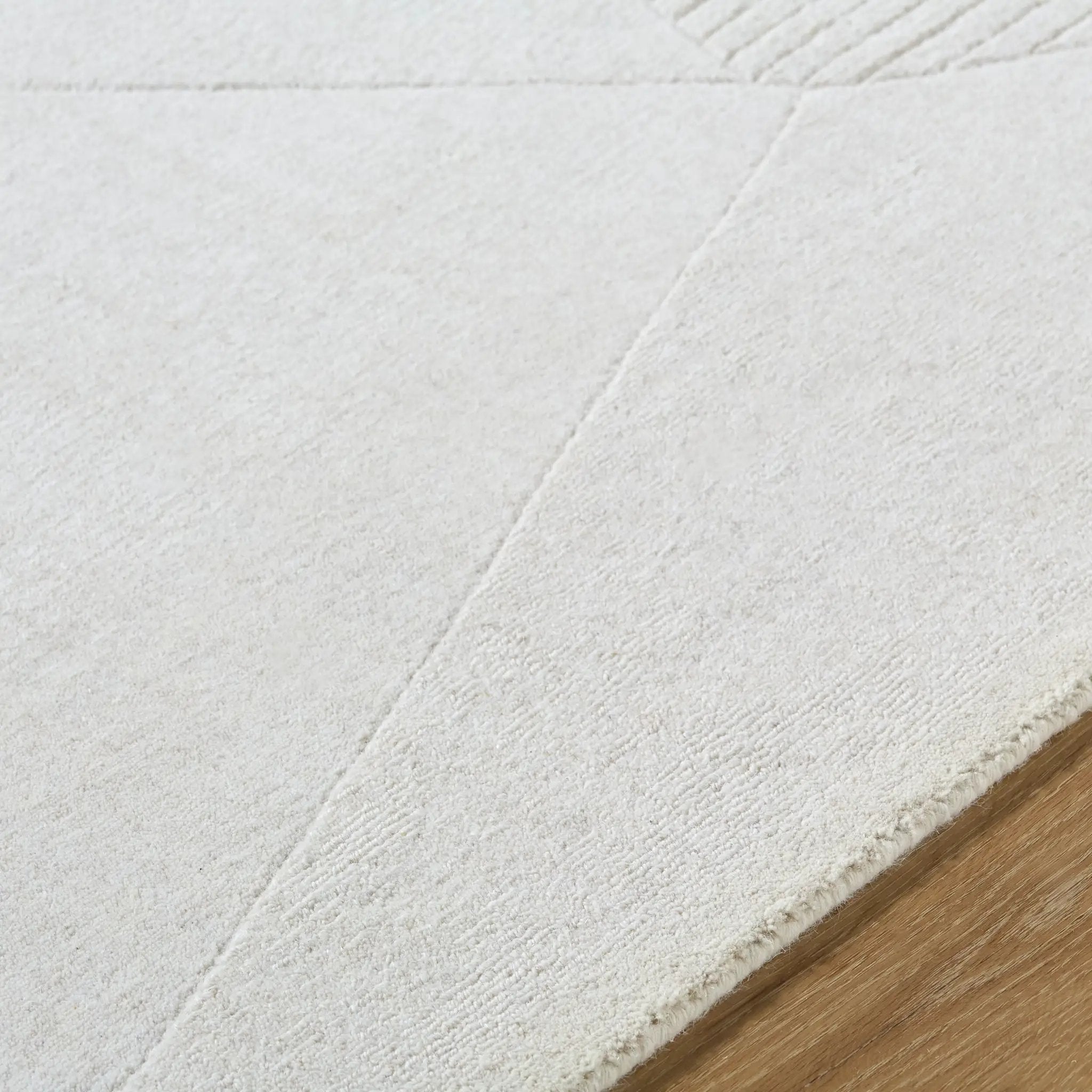 Taraash TRH-2308 Ivory Area Rug by LIVABLISS