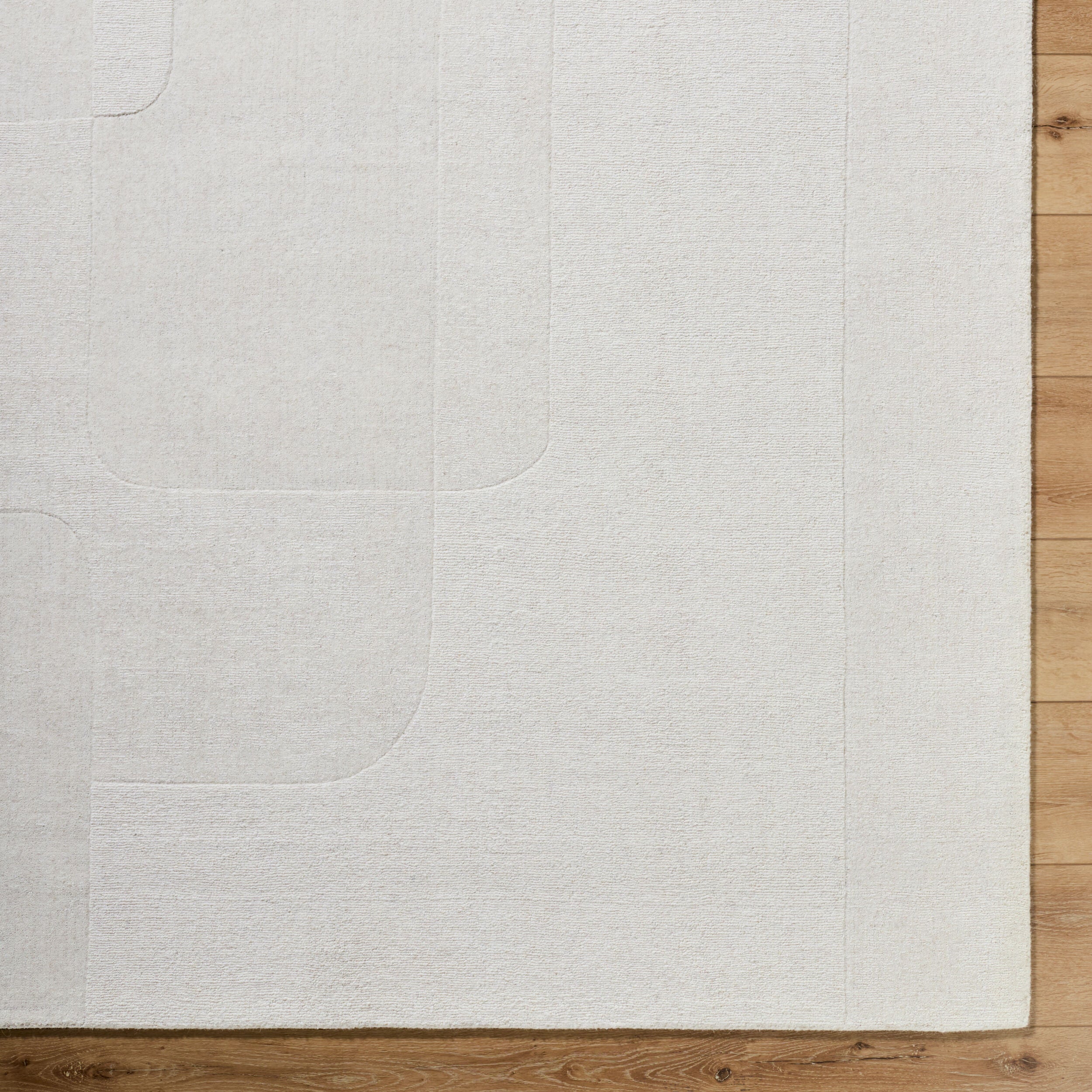 Surya Taraash TRH-2309 Ivory Area Rug by LIVABLISS
