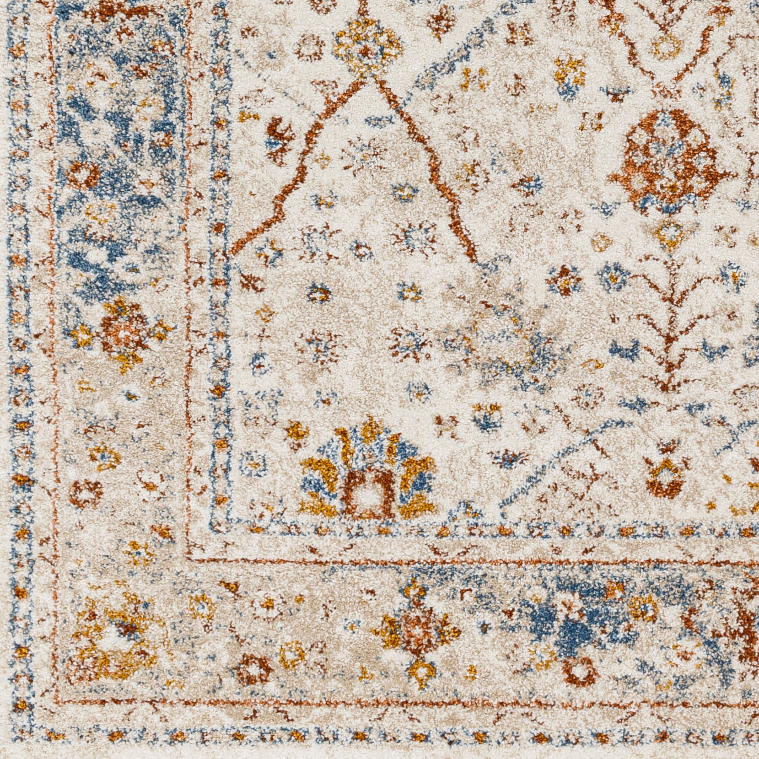 Surya Tuscany TUS-2330 Brown Area Rug by LIVABLISS