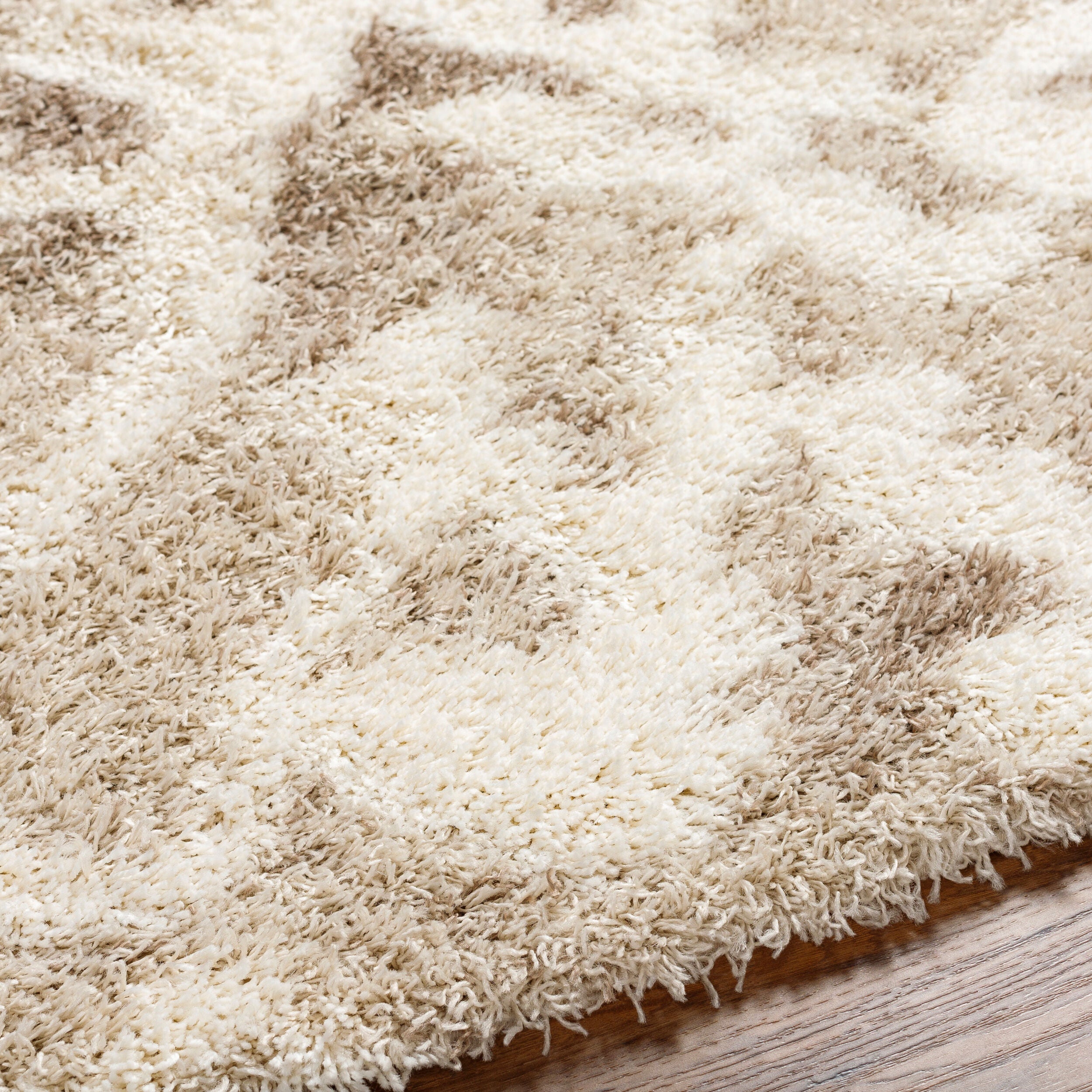 Surya Urban Shag USG-2323 Beige Area Rug by LIVABLISS