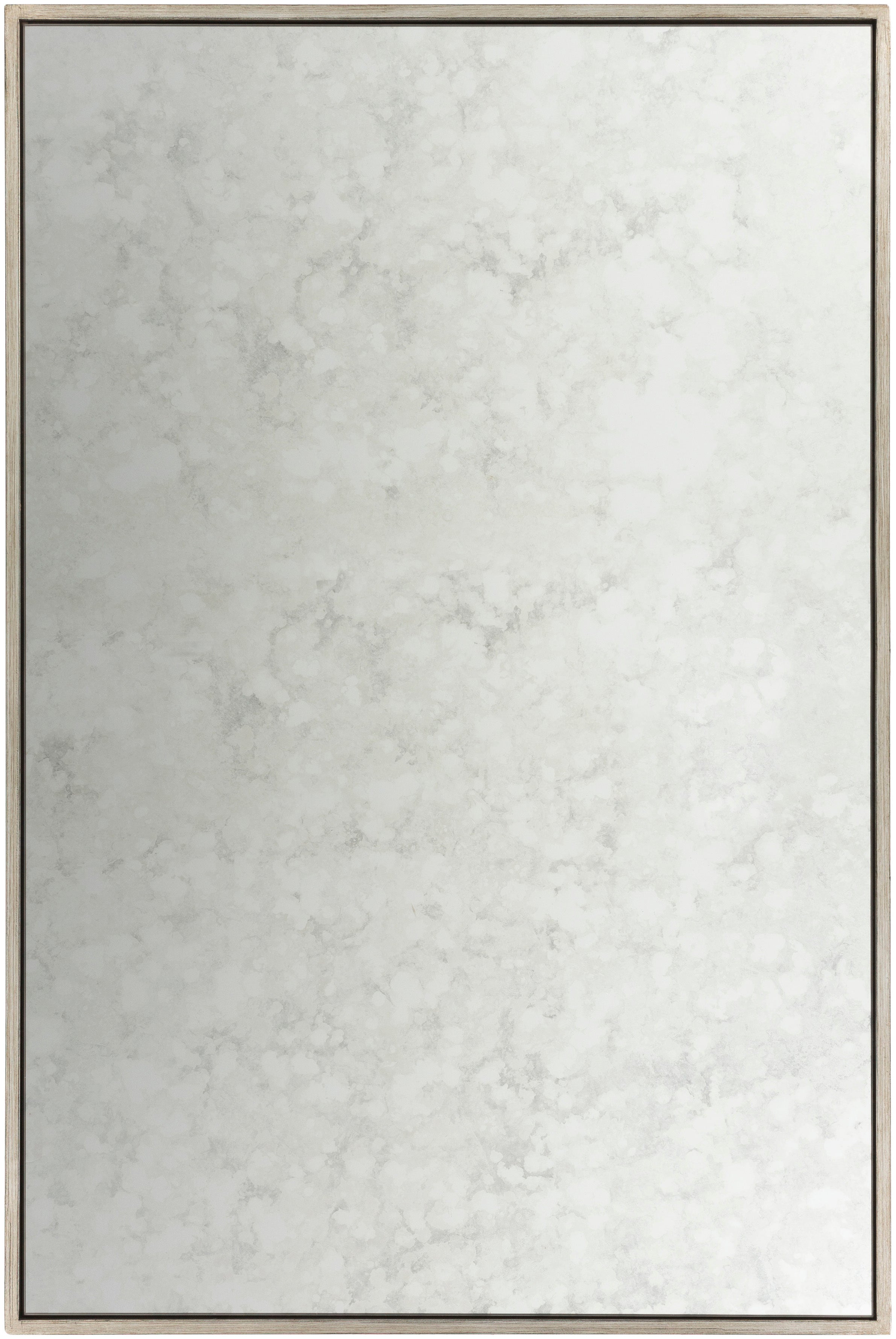 Surya Verbena VBA-001 Wall Decor Accent Mirror by LIVABLISS