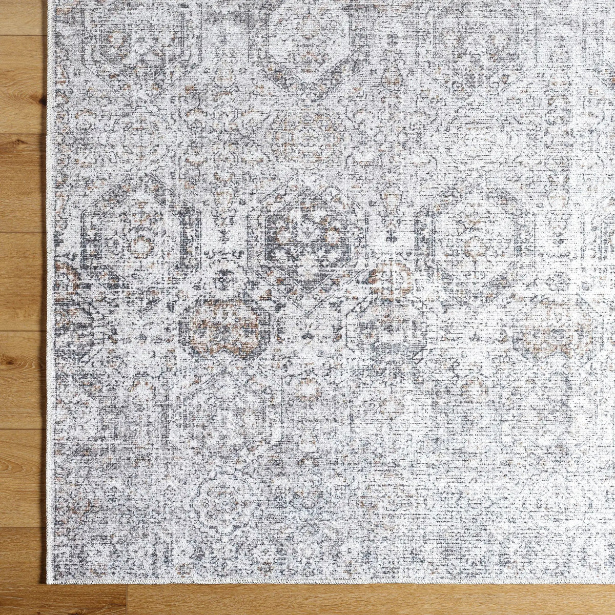 Vinny VNY-2309 Light-Gray Area Rug by LIVABLISS