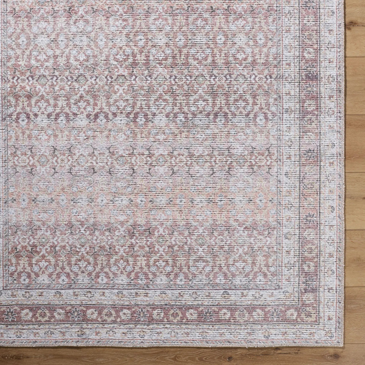 Vinny VNY-2318 Brown Area Rug by LIVABLISS