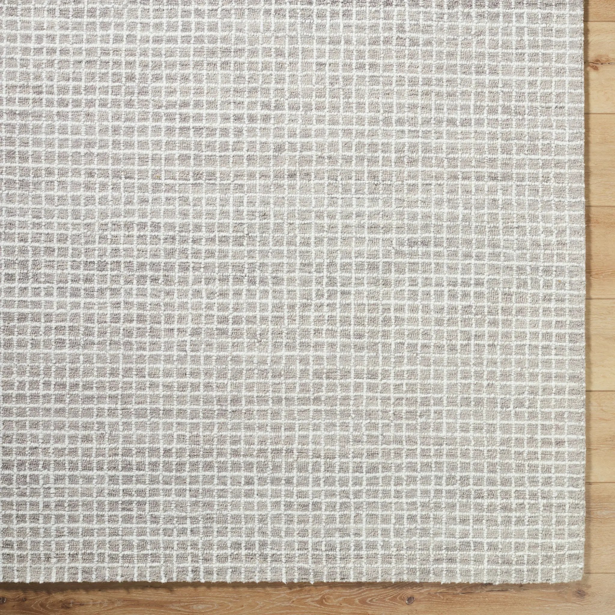 Andreas VVAN-2302 Ivory Area Rug by LIVABLISS