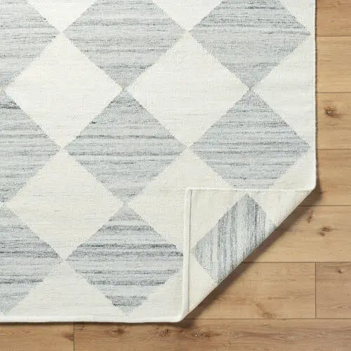 Antho VVAT-2303 Slate Gray Area Rug by LIVABLISS