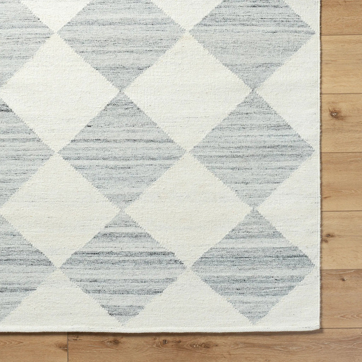 Antho VVAT-2303 Slate Gray Area Rug by LIVABLISS