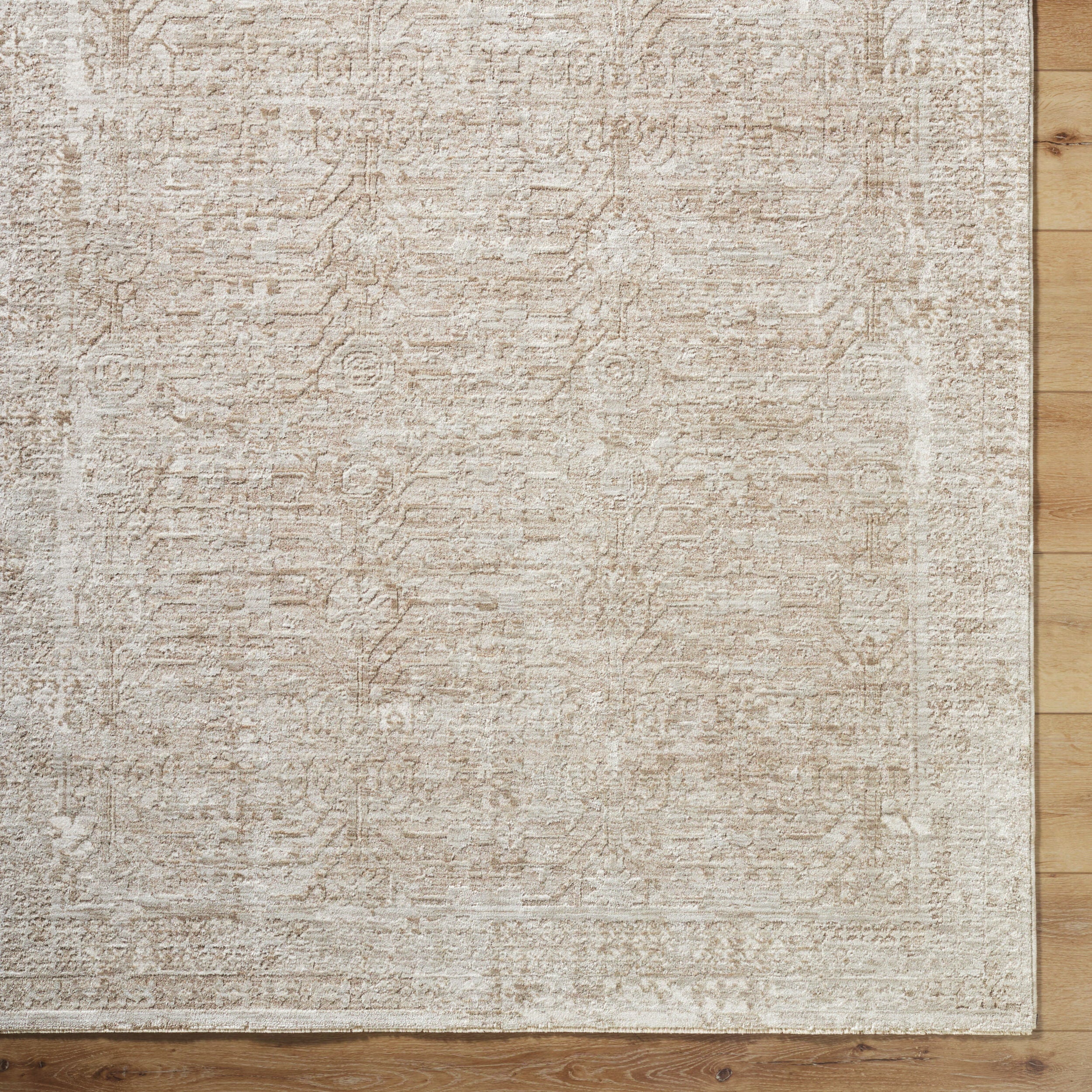 Vivir Beth VVBE-2301 Cream Area Rug by LIVABLISS