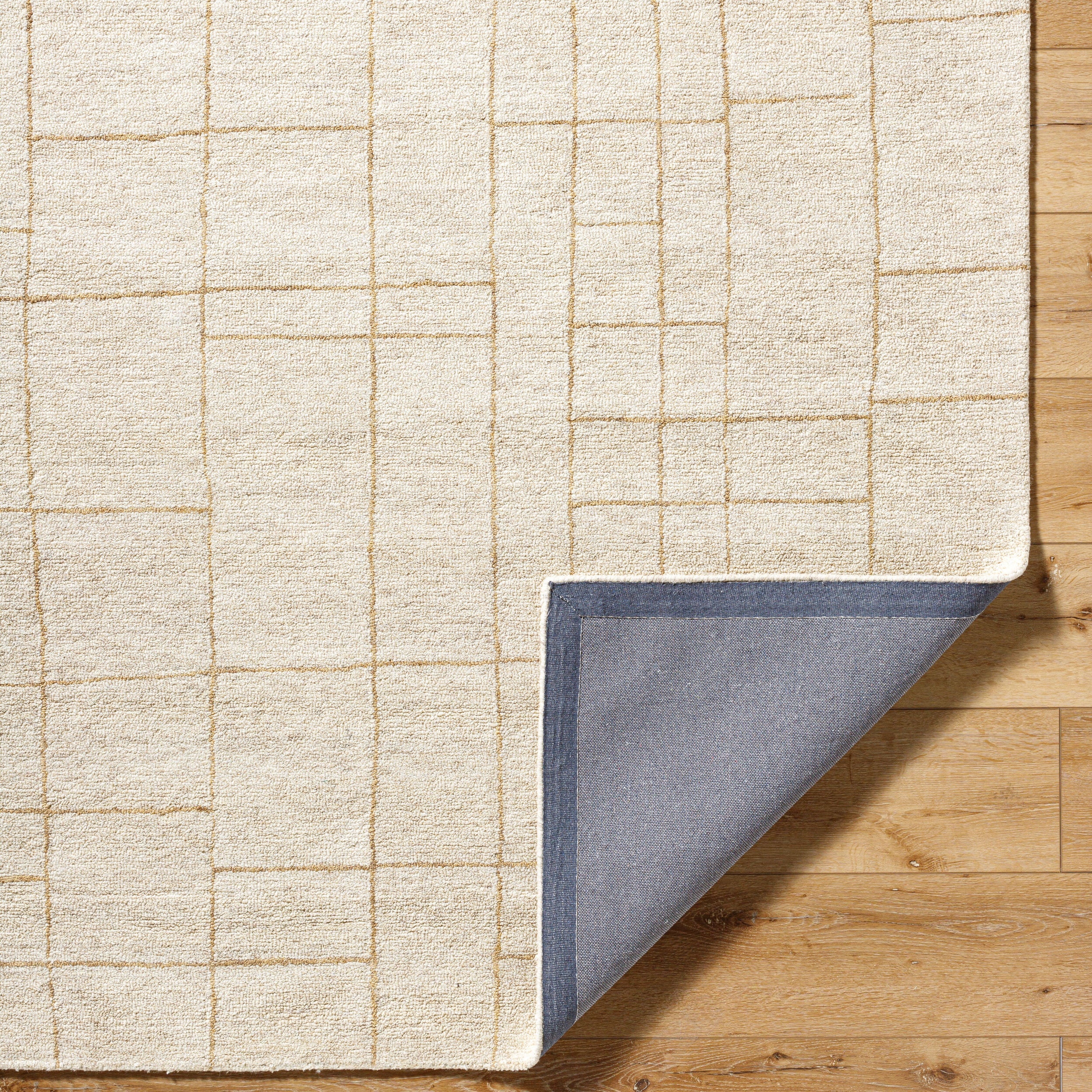 Vivir Ira VVIR-2301 Ivory Area Rug by LIVABLISS