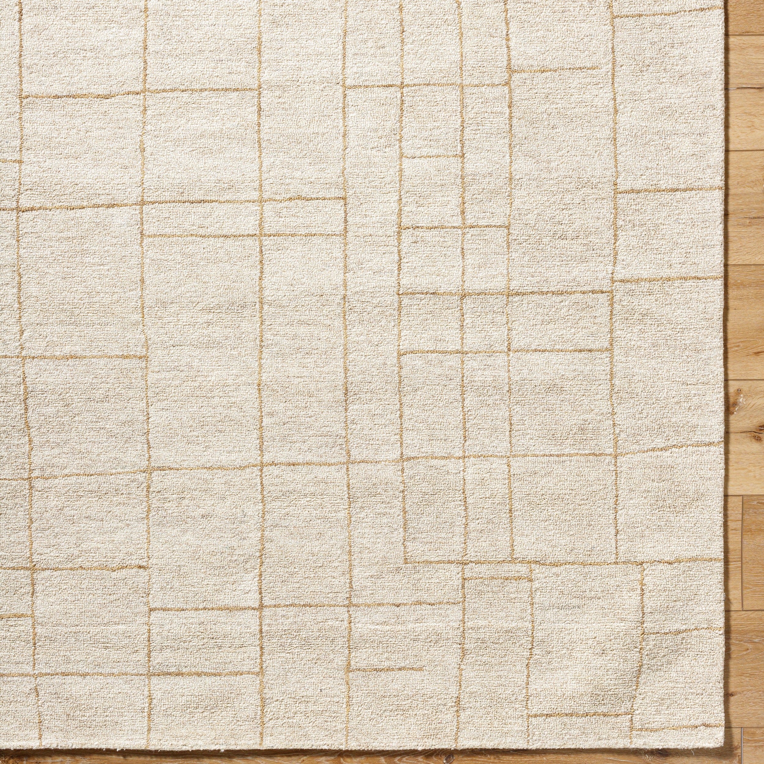 Vivir Ira VVIR-2301 Ivory Area Rug by LIVABLISS