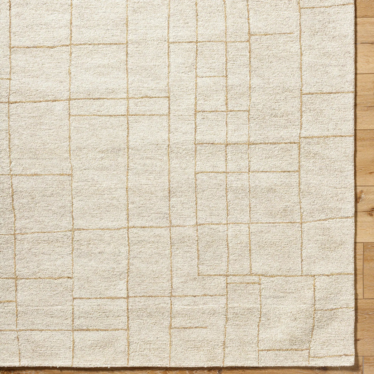 Ira VVIR-2301 Ivory Area Rug by LIVABLISS