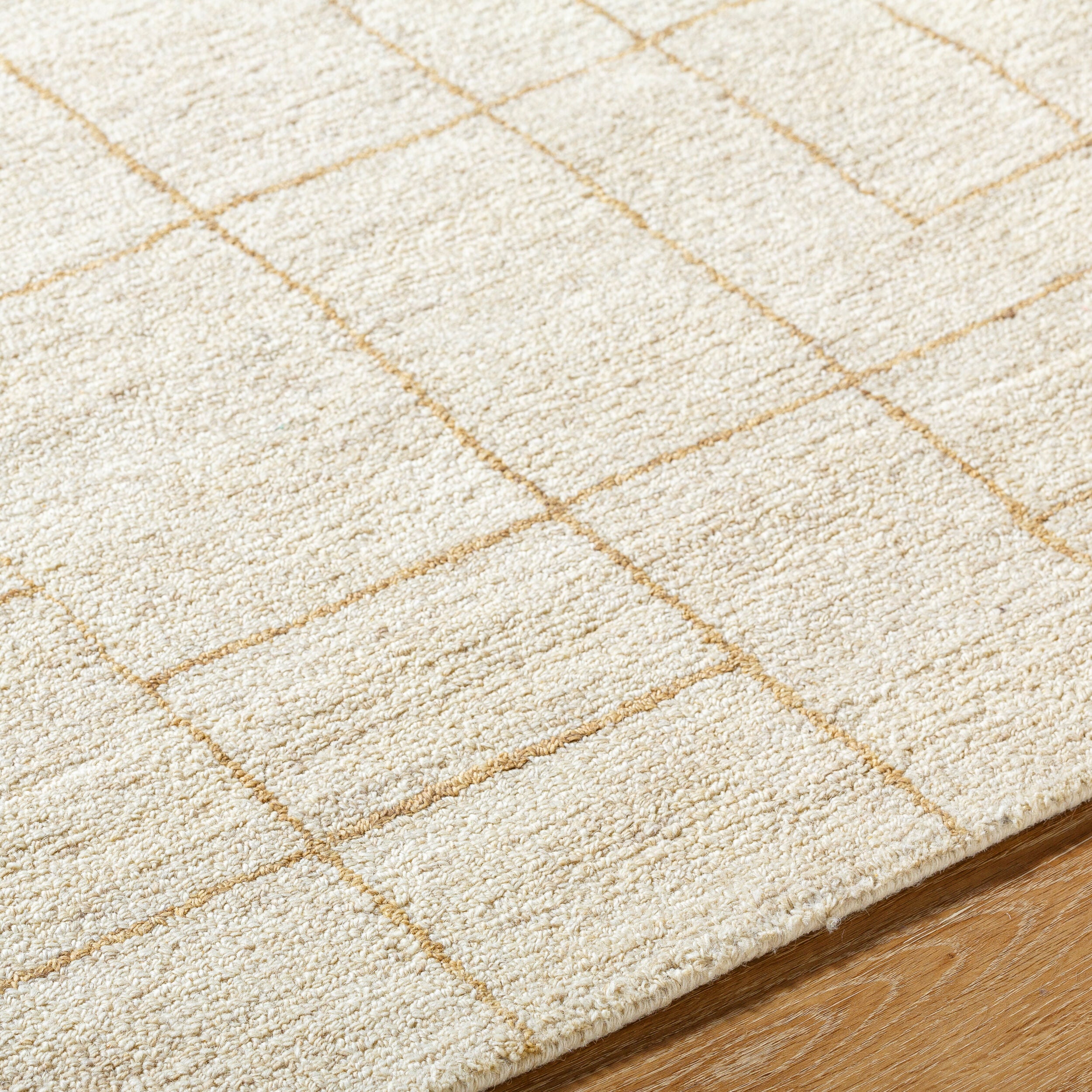 Vivir Ira VVIR-2301 Ivory Area Rug by LIVABLISS