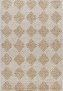 Vivir Kaya VVKA-2300 Ivory Area Rug by LIVABLISS