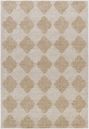 Vivir Kaya VVKA-2300 Ivory Area Rug by LIVABLISS