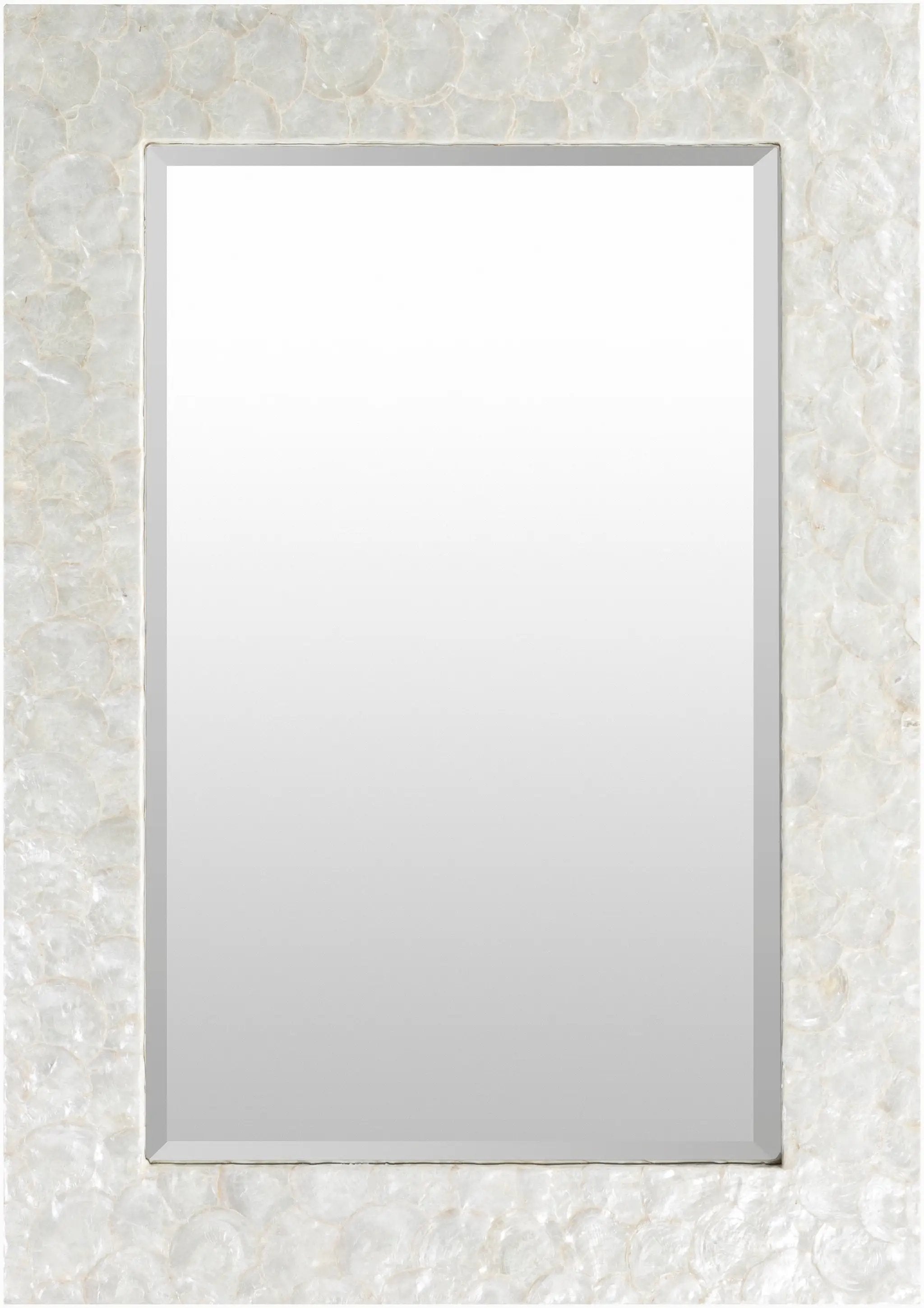 Surya Whitaker WTK-7203 Wall Decor Accent Mirror by LIVABLISS