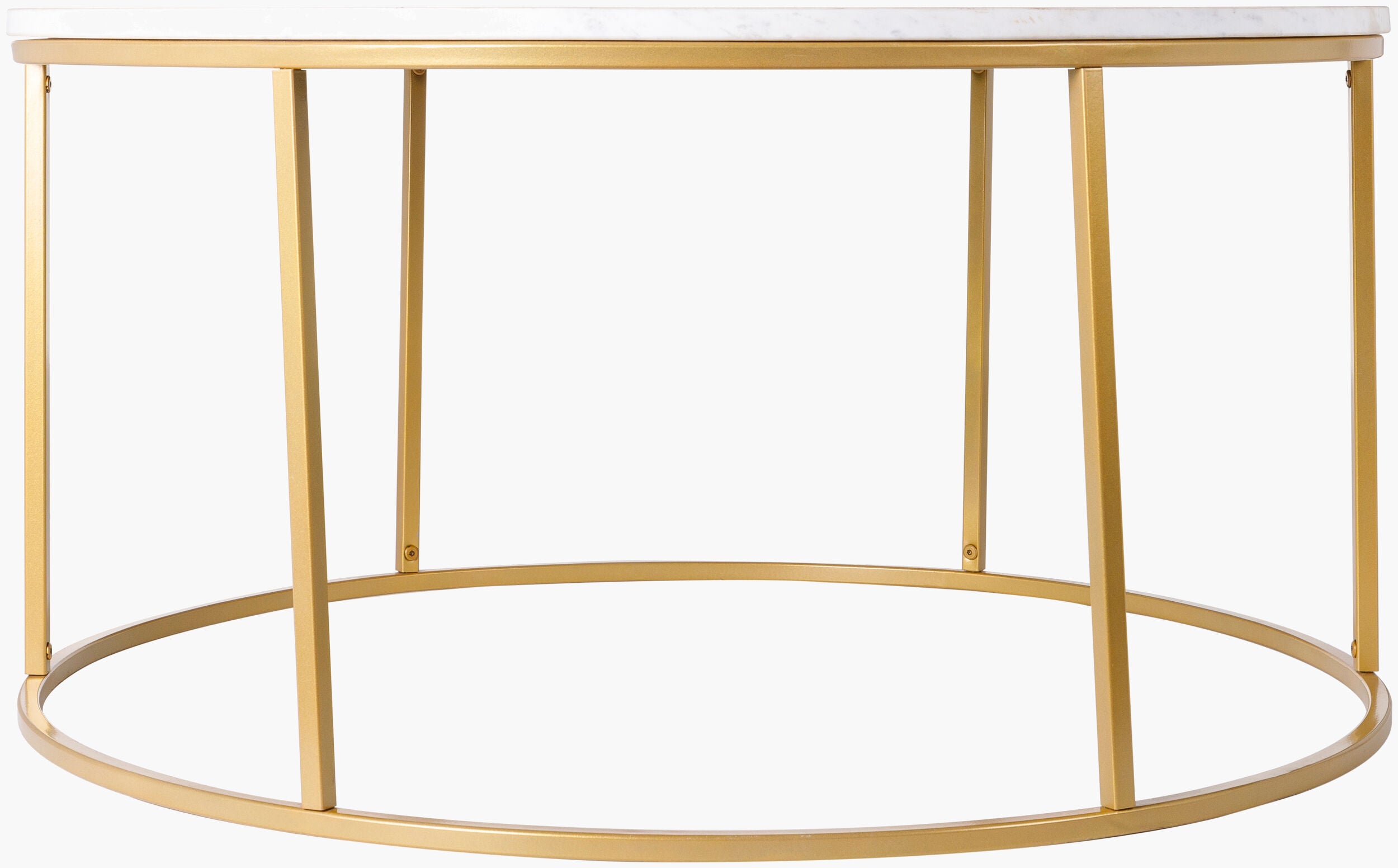 Surya Aryaa YAA-017 Furniture Coffee Table by LIVABLISS