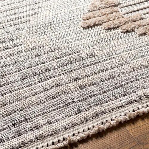 Zaragoza ZRZ-2300 Medium-Gray Area Rug by LIVABLISS