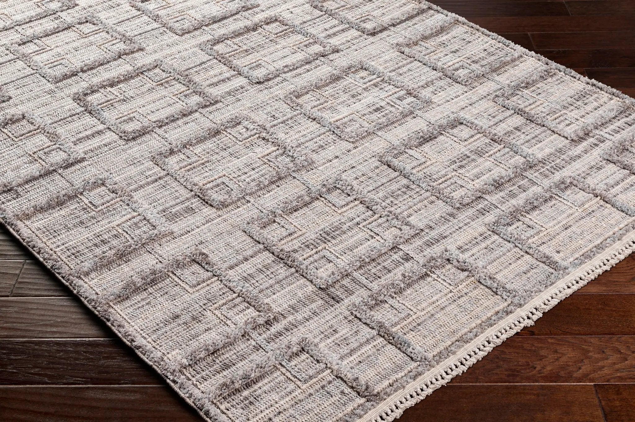 Zaragoza ZRZ-2314 Charcoal Area Rug by LIVABLISS