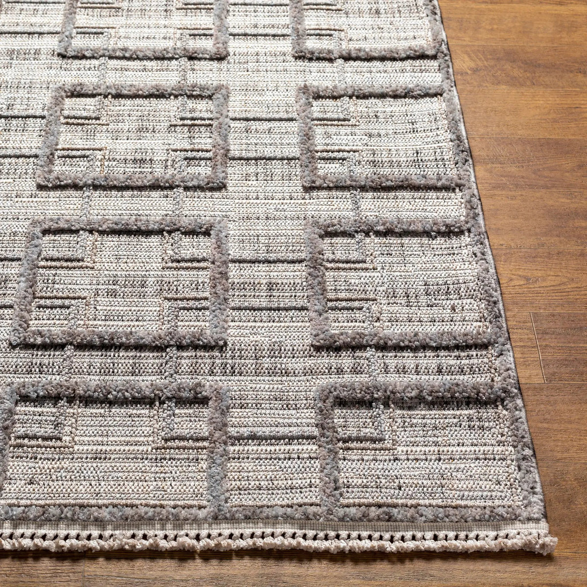 Zaragoza ZRZ-2314 Charcoal Area Rug by LIVABLISS