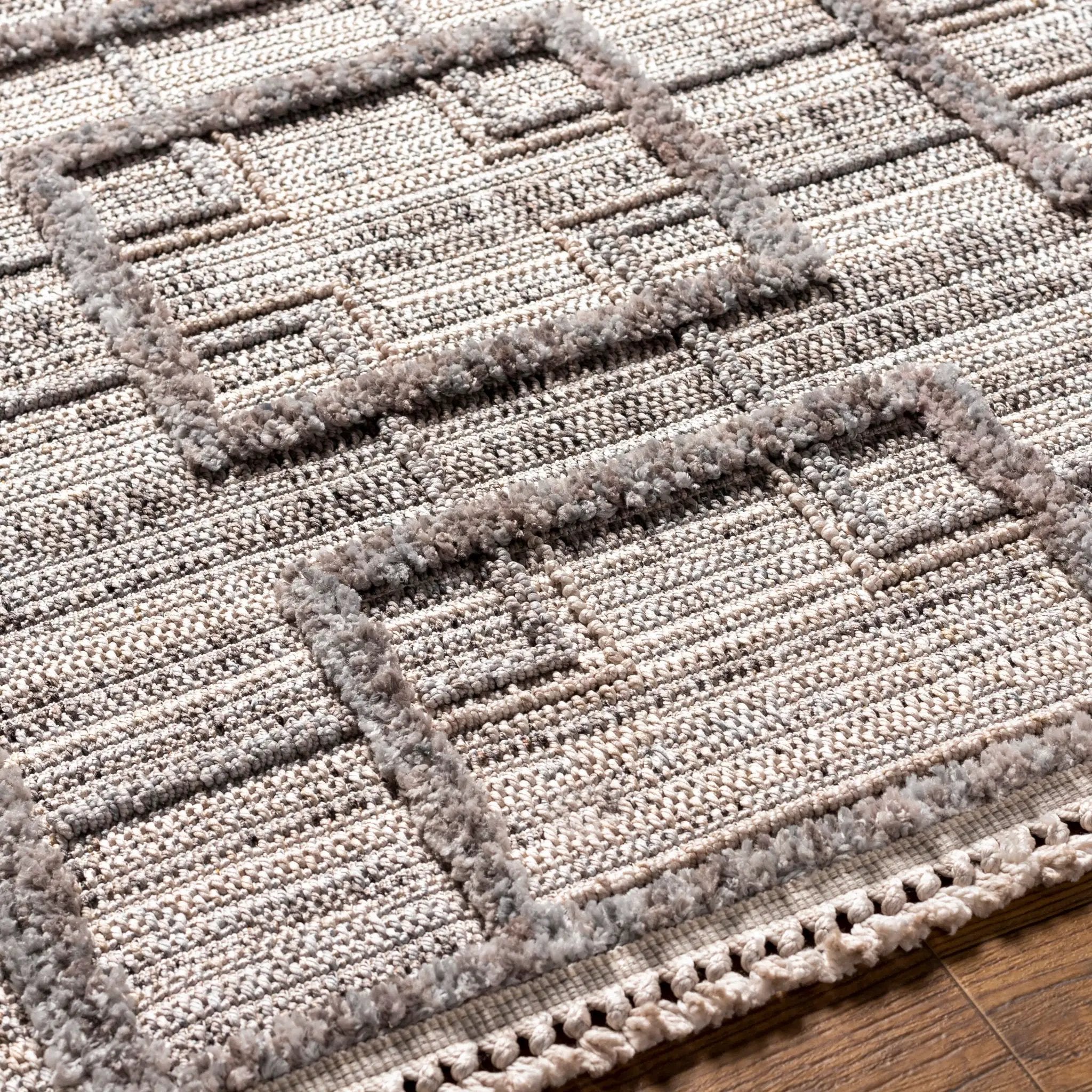 Zaragoza ZRZ-2314 Charcoal Area Rug by LIVABLISS