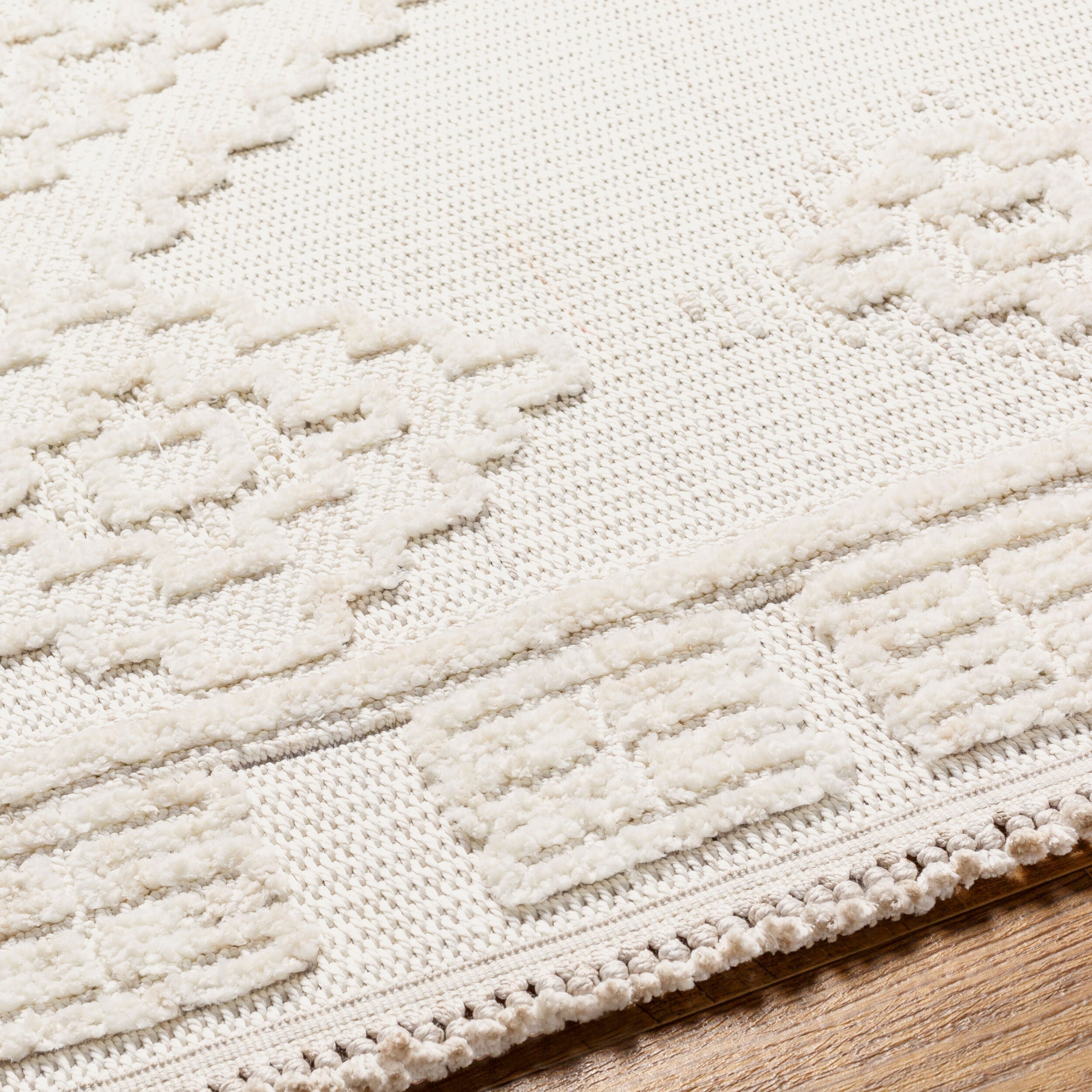 Surya Zaragoza ZRZ-2316 Cream Area Rug by LIVABLISS