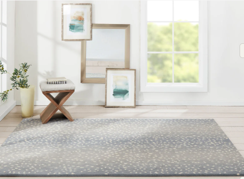 Transforming Your Space with Timeless Elegance: The Magic of Erin Gates Rugs