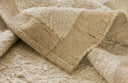 Pure Salt Alanya ALA-1 Area Rug by Momeni