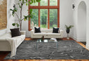 Momeni Xander collection area rug. These stunning rugs feature eye-catching black-and-white patterns that serve as a dramatic focal point, guaranteed to elevate your home décor.