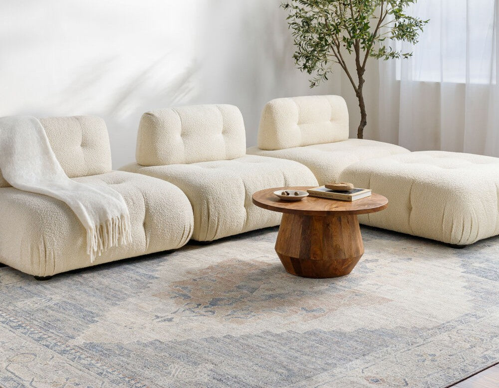 Distressed blue and beige 100% polyester traditional machine-woven rug from the best seller collection in a bright living room.