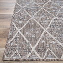 Couristan Charm Thicket Twig Area Rug