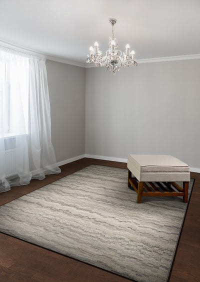 Couristan Easton Shimmering 6398-0745 Earthtones Area Rug