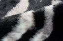 Erin Gates Acadia ACA-1 Black Zebra Area Rug by Momeni