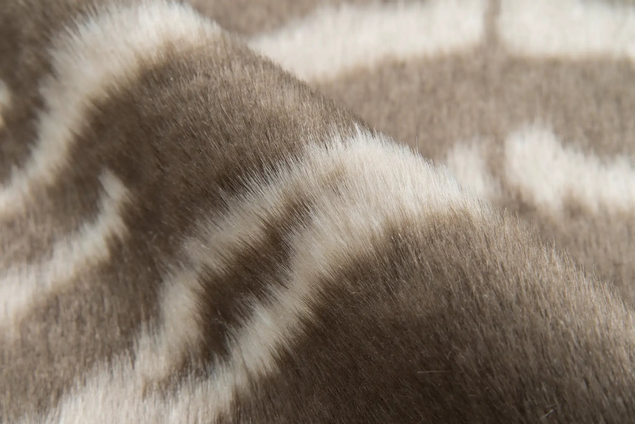 Acadia ACA-1 (Zebra) Gray Area Rug by Erin Gates by Momeni