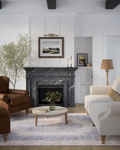 Momeni Afshar AFS-35 Denim Area Rug