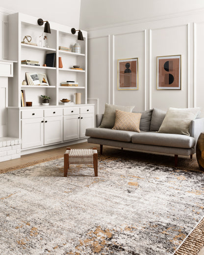 Loloi Alchemy ALC-02 Granite / Gold Area Rug