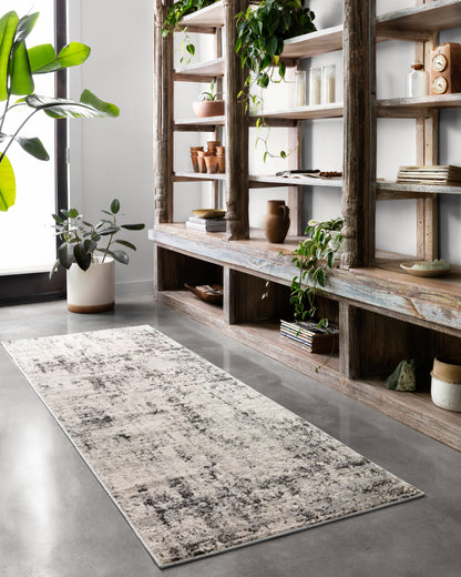 Loloi Alchemy ALC-04 Silver / Graphite Area Rug