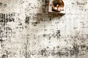 Loloi Alchemy ALC-04 Silver / Graphite Area Rug