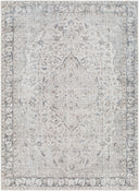 Surya Amelie AML-2385 Machine Woven Machine Washable Area Rug by LIVABLISS