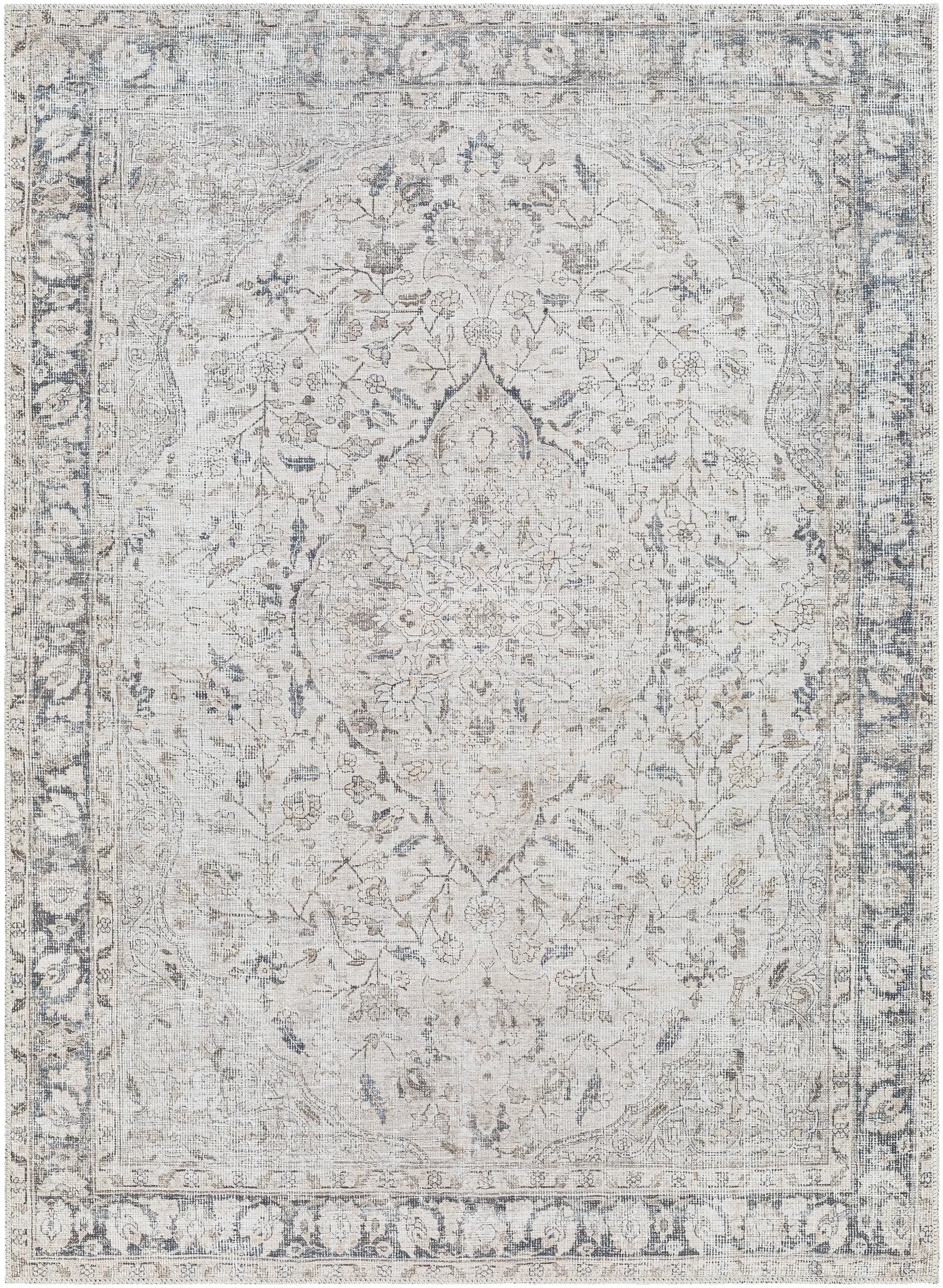 Amelie AML-2385 Ivory Area Rug by LIVABLISS