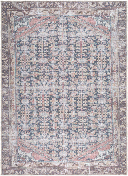 Surya Amelie AML-2395 Black Machine Washable Area Rug by LIVABLISS