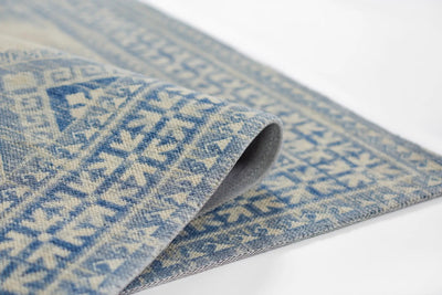 Anatolia ANA-10 Ivory Area Rug by Momeni