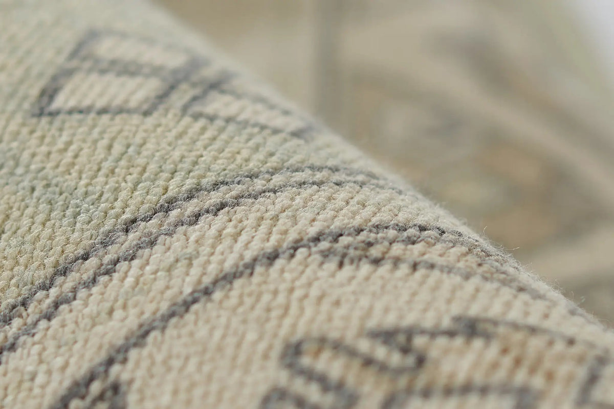 Anatolia ANA-11 Sage Area Rug by Momeni
