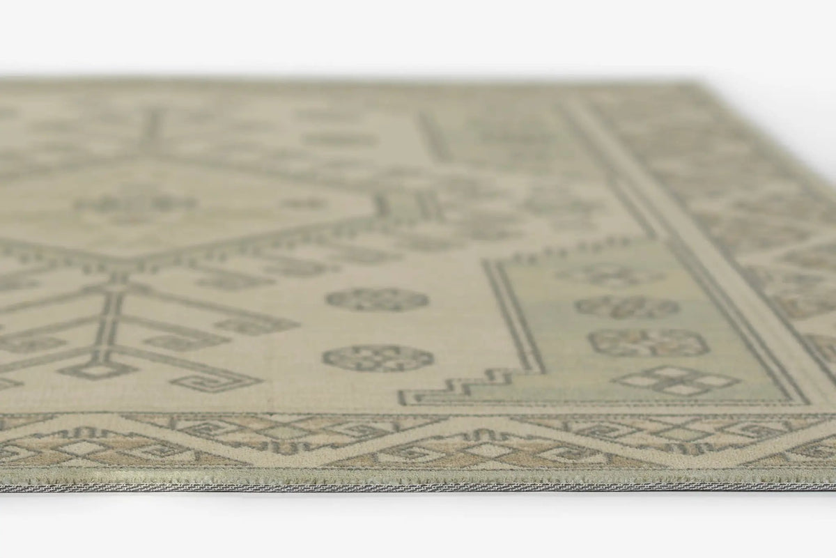 Anatolia ANA-11 Sage Area Rug by Momeni