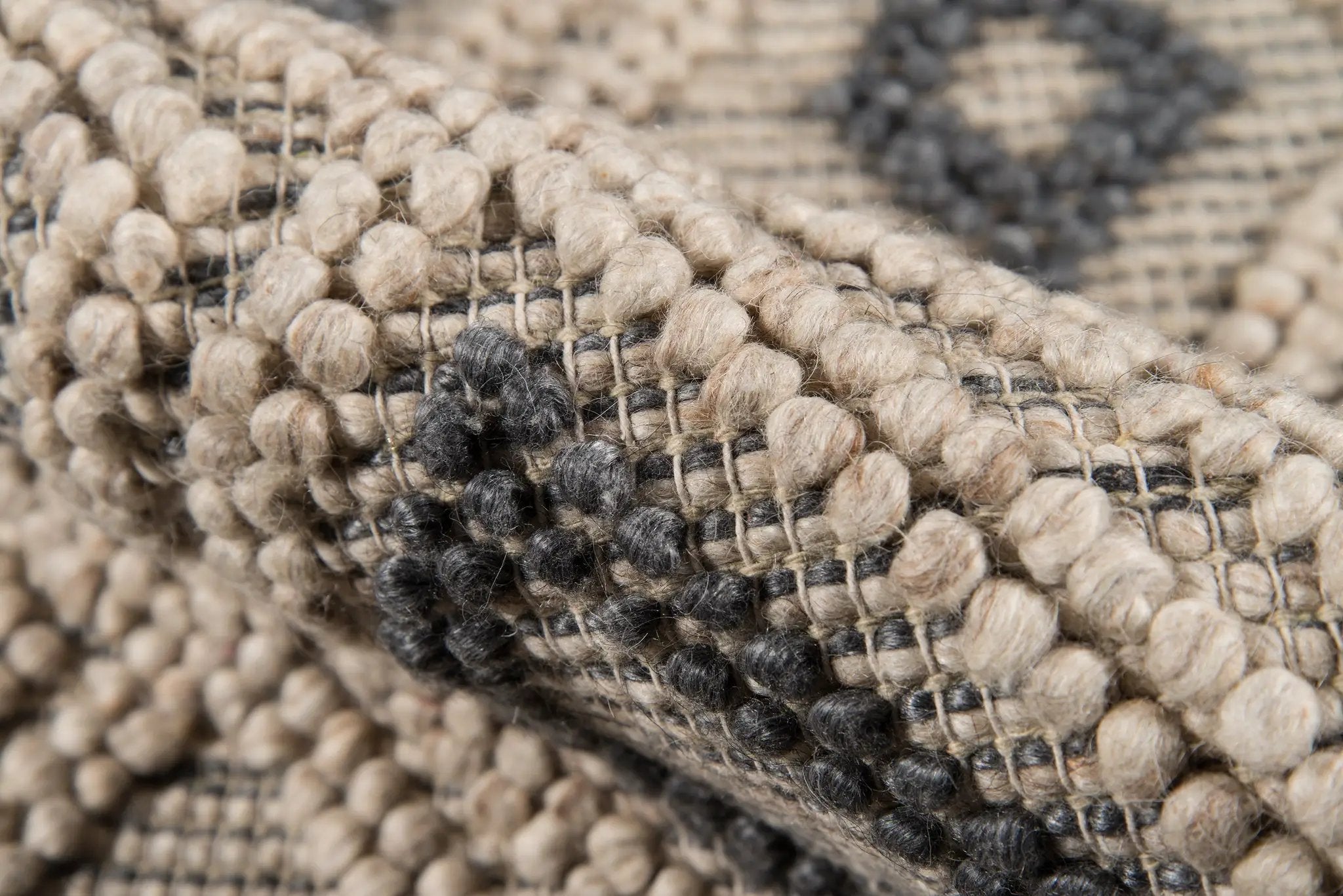 Andes AND-2 Beige Area Rug by Momeni