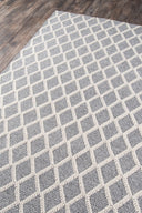 Momeni Andes AND-7 Gray Hand Woven Area Rug