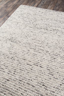 Momeni Andes AND-8 Ivory Hand Woven Area Rug